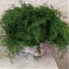 Укроп свежий 1, 2 кг в Юрге